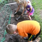 preparing to plant the beans