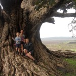 FamilyOnBigTree