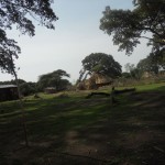 grass huts down country