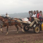 horse drawn cart