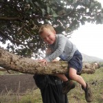 jacob riding the big tree branch