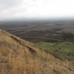 looking down on the fields